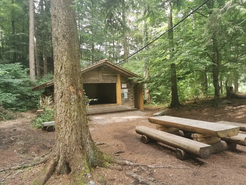 Stephan Morgenthaler_Feuerstelle Wimmis - Herrenmätteli_Wimmis_avis