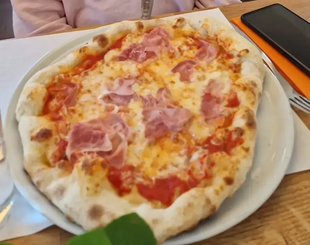 RONALD PFISTER_Allmendhof_Thun_reseña