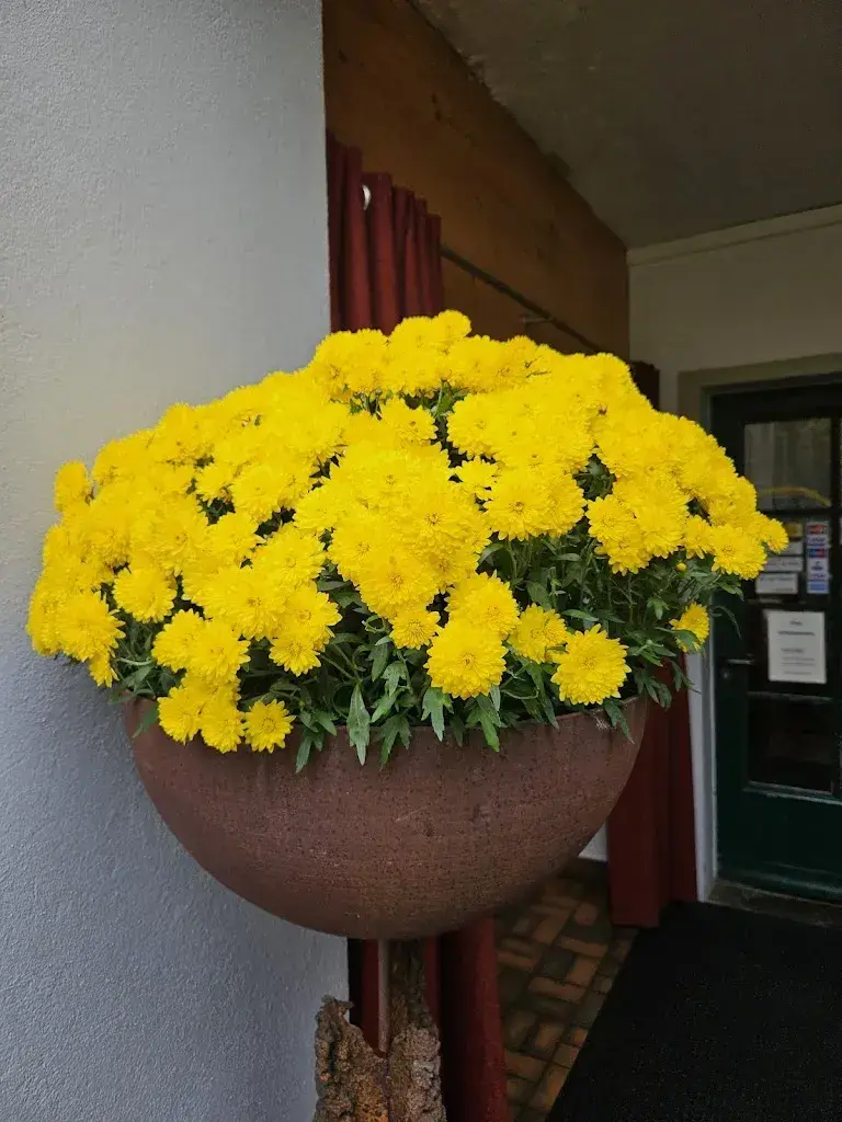 Xeniya Kofler_Neubrück_Herrenschwanden_reseña