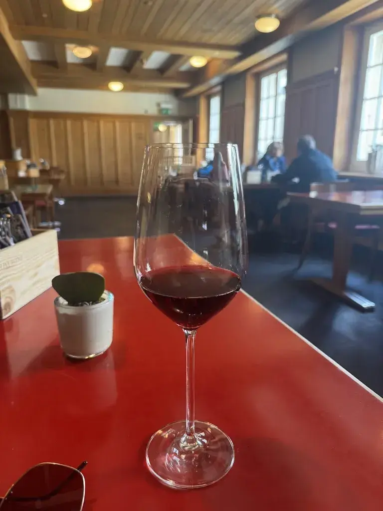 Alexander Malinovski_Historisches Alpinhotel Grimsel Hospiz_Guttannen_avis