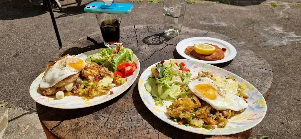 Sander Rozendaal_Rösti Restaurant Terrasse_Gadmen_review