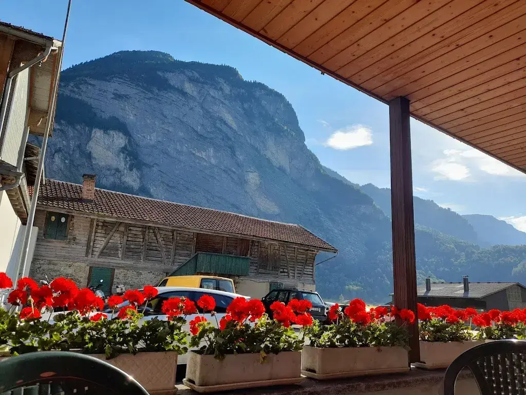 Wayne Radford_Hotel Restaurant Alpina_Innertkirchen_review