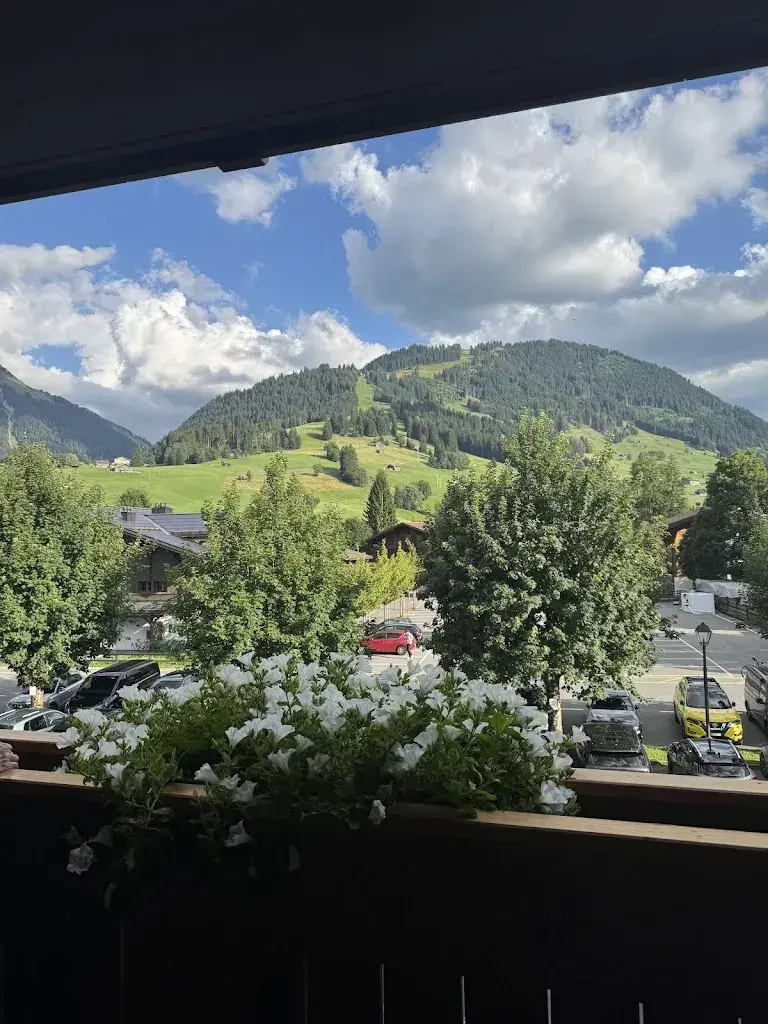 Valeria Villarreal_Hotel-Restaurant Arc-en-ciel_Gstaad_review