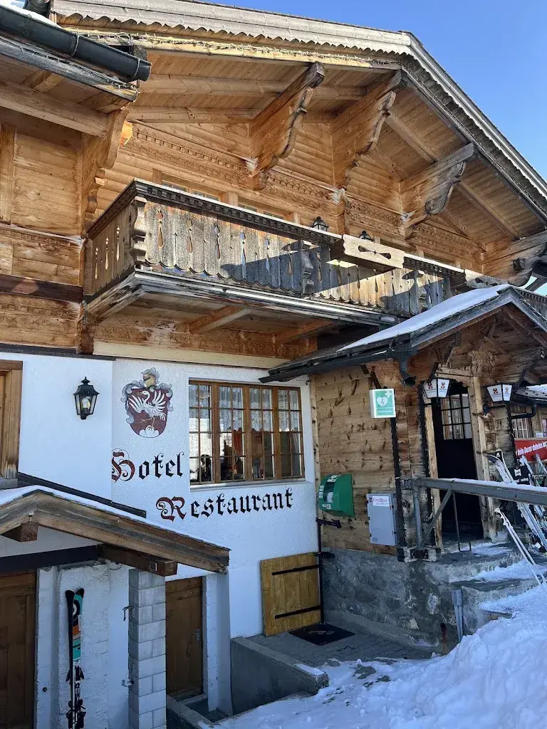 James Topping_Berghotel Hornberg_Saanenmöser_review