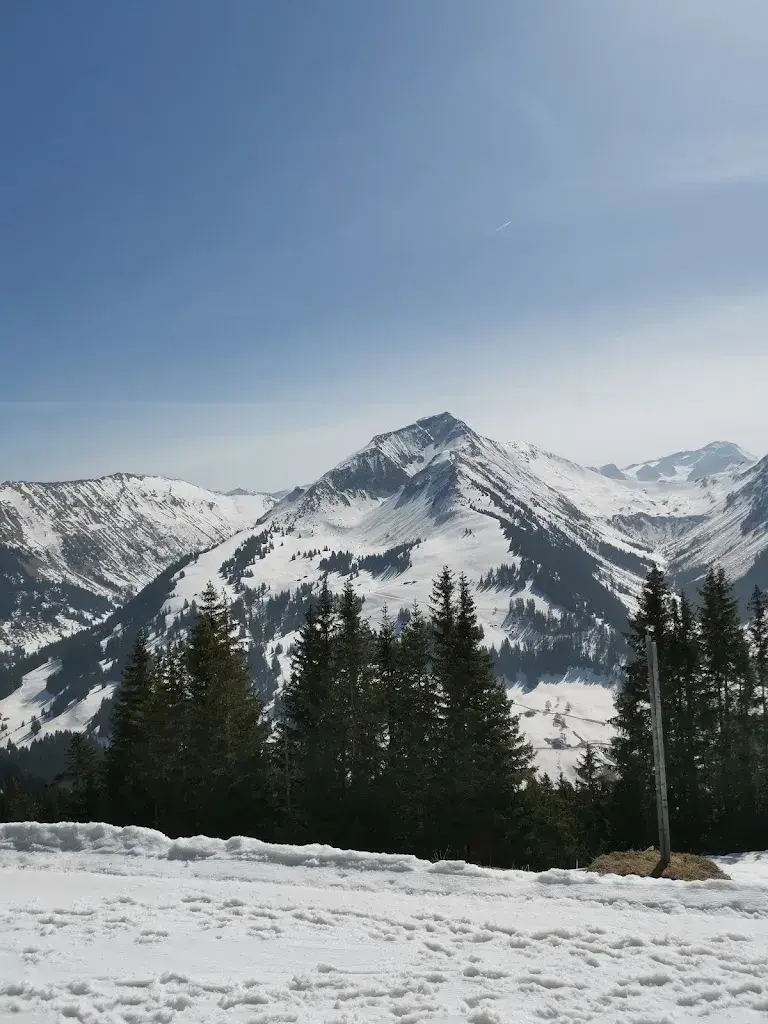 de Lisle Alexandre_Berghotel Hornberg_Saanenmöser_review