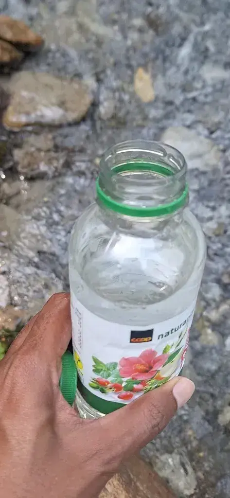 Vwarane SR (Vicky)_Rosenlauischlucht_Schattenhalb_review