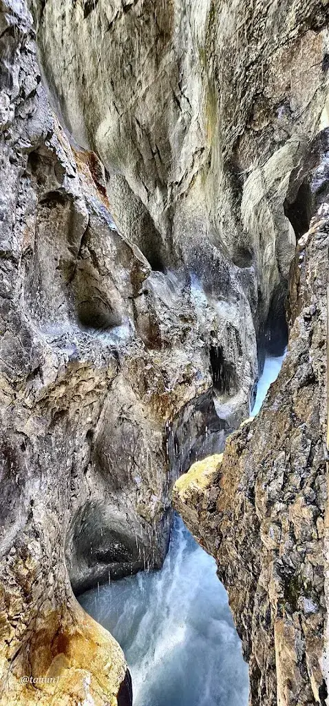 Tanushri Nayak_Gletscherschlucht Rosenlaui_Schattenhalb_avis