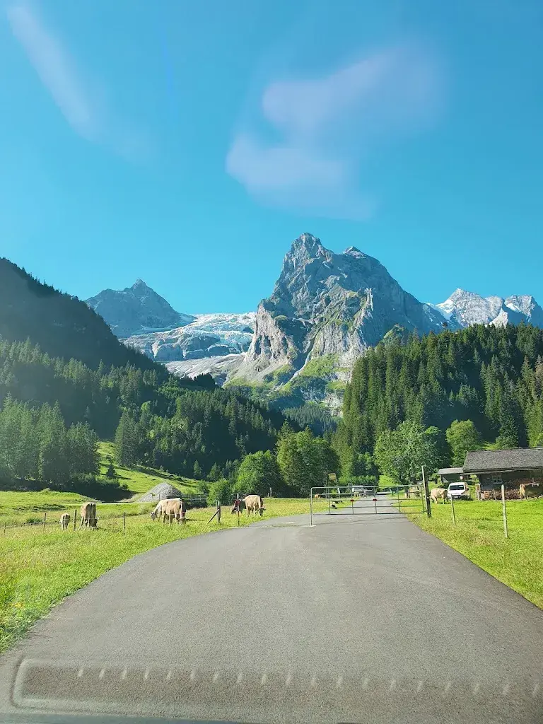 Jessica Frei-Rozo_Rosenlaui Glacier_Innertkirchen_reseña