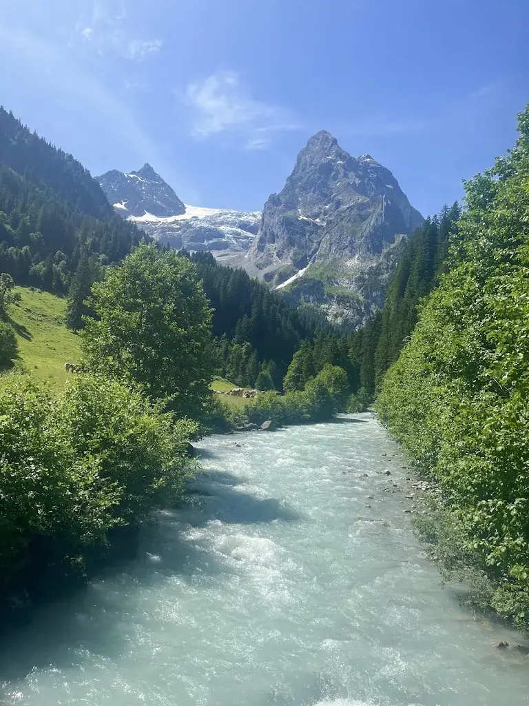 Fiona Catherine_Rosenlaui Valley_Schattenhalb_Bewertung