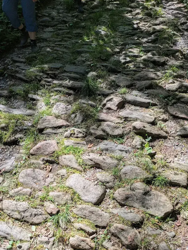 Richard Külling_Reichenbachfall_Meiringen_review