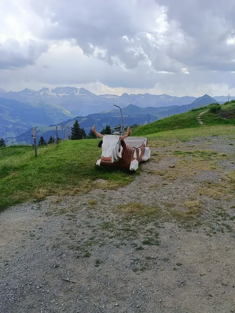 Ururu Rat_Bergrestaurant Rinderberg-Spitz_Zweisimmen_review