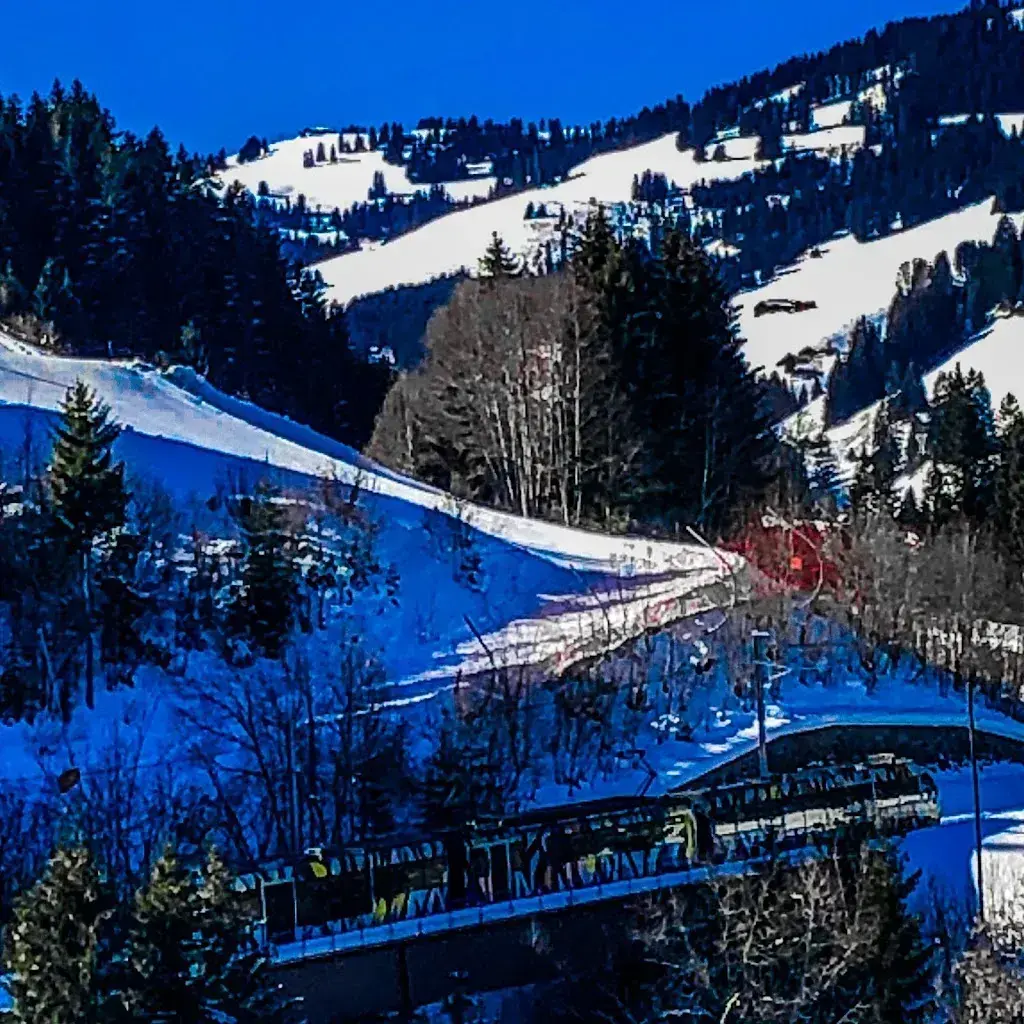 Christian Liechti (Lenny)_Träumli_Zweisimmen_Bewertung