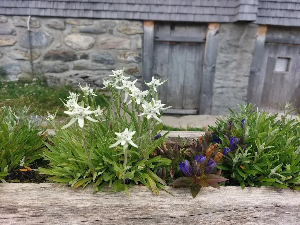 ligase ligase_Berggasthaus Stierenberg_St. Stephan_review