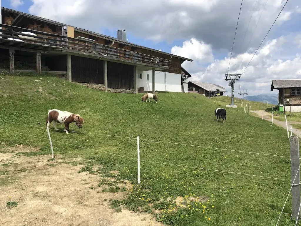 Mandy F_Berghaus Wispile_Saanen_review