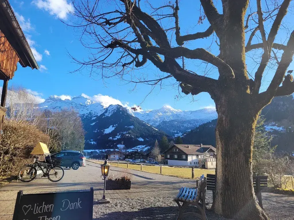 Alain Thélin_Gasthof Tenne_Lenk_avis