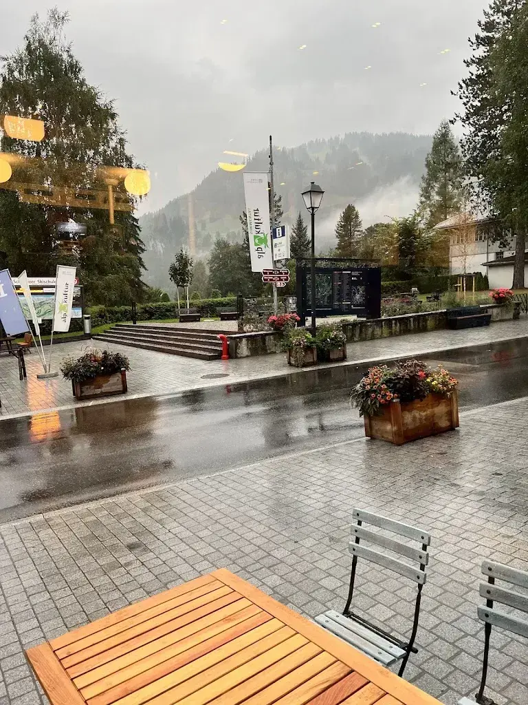 Mr. Ant_Antica Posta_Lenk_avis