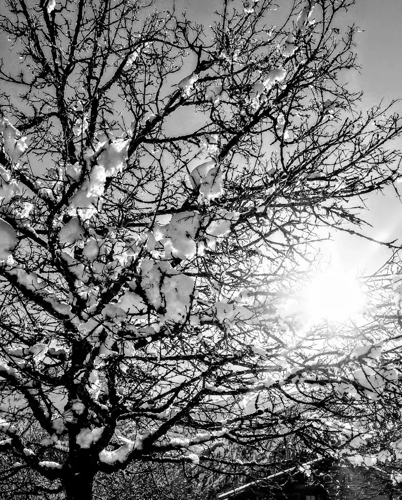 Thomas Kaupert_Restaurant & Sonnenterrasse Alpenland_Lauenen_review