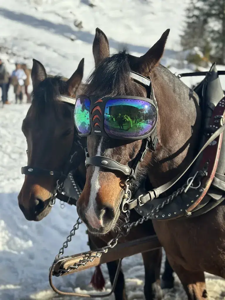 Tom Nodal_Bochtehus Restaurant Lauenen_Lauenen_avis