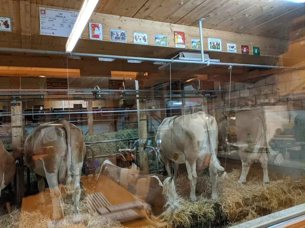 Ale Borba_Restaurant Michel's Stallbeizli_Gstaad_review