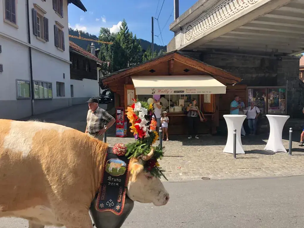 Wally's Gstaad_Gstaad_slider_image_3