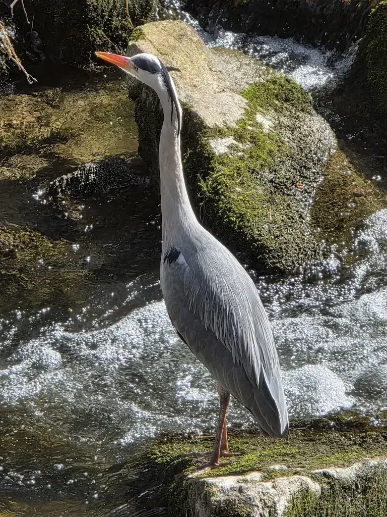 Coop Restaurant Schwarzenburg_Schwarzenburg_slider_image_3