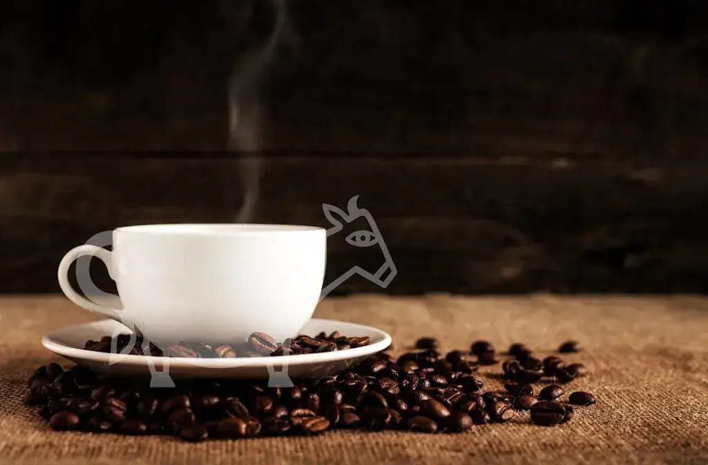 Charly's Gstaad AG_Gstaad_slider_image_2