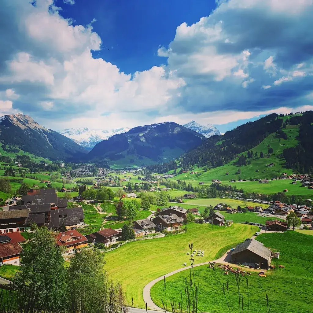 Hotel Landhaus restaurant à Saanen