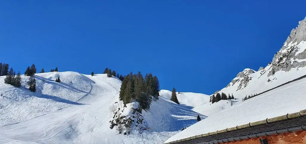 Buvette d’alpage_Rougemont_slider_image_3