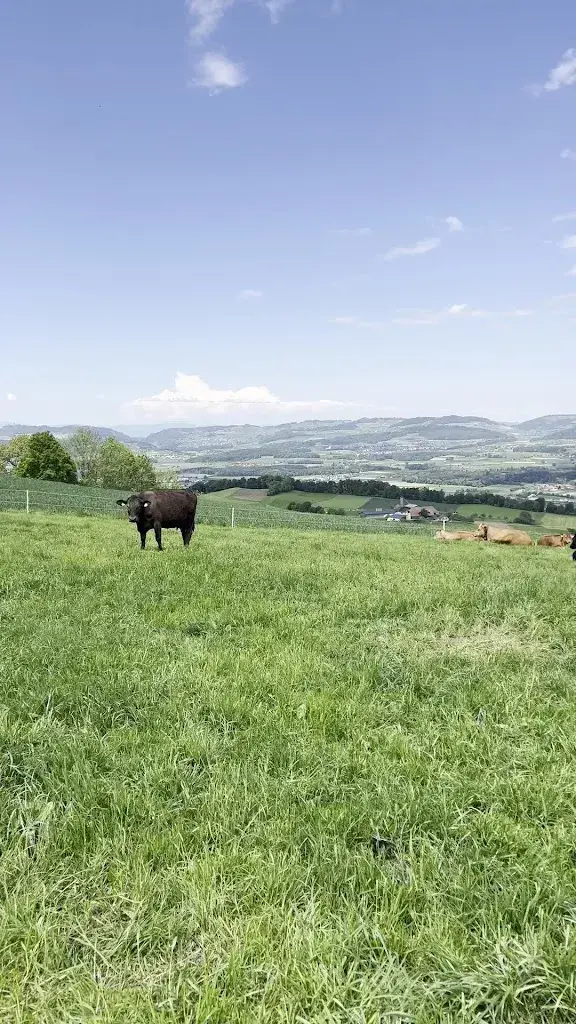 Cheyenne Blatter_Panorama Restaurant Chutze_Belpberg_avis