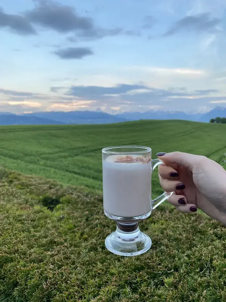 Erika Rehakova_Panorama Restaurant Chutze_Belpberg_avis