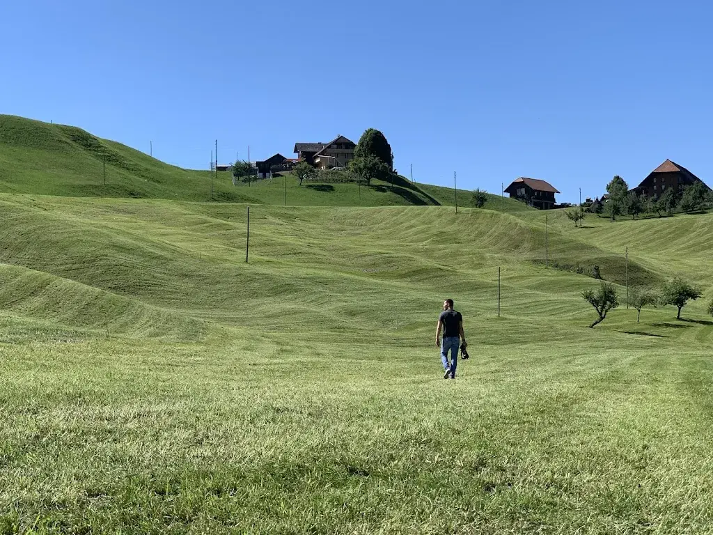 Mike Hoff (MP-Portrait-Fotografie.de)_Bären_Süderen_avis