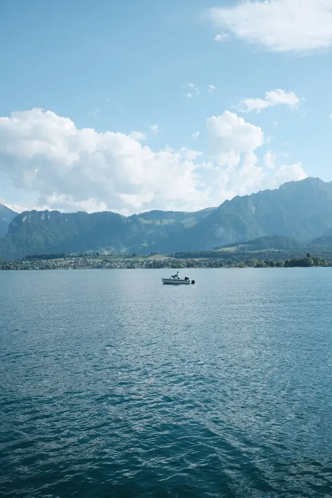 Andreas Apostol_Buvette am See Hünibach_Hünibach_avis