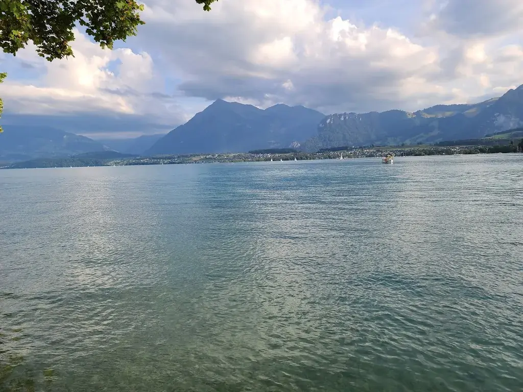 William Daniel_Buvette am See Hünibach_Hünibach_avis