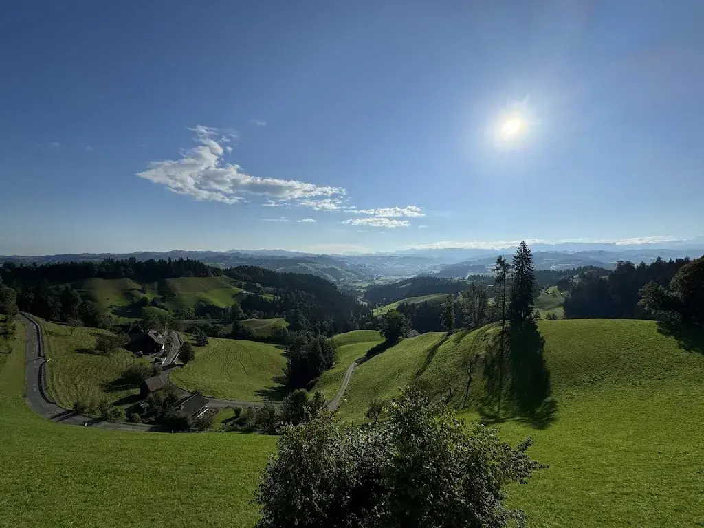 Patrick de Saab_Boutique Hotel Moosegg_Lauperswil_avis