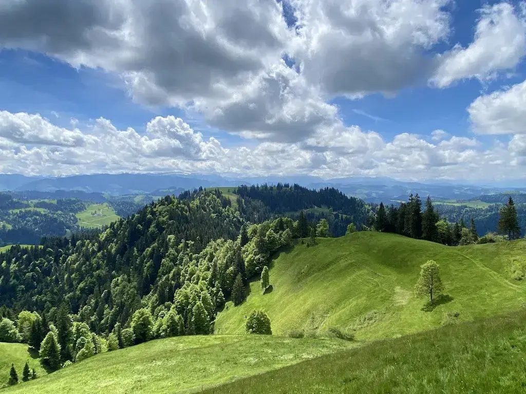 Katja Droigk_Lushütte Alpwirtschaft_Trub_avis