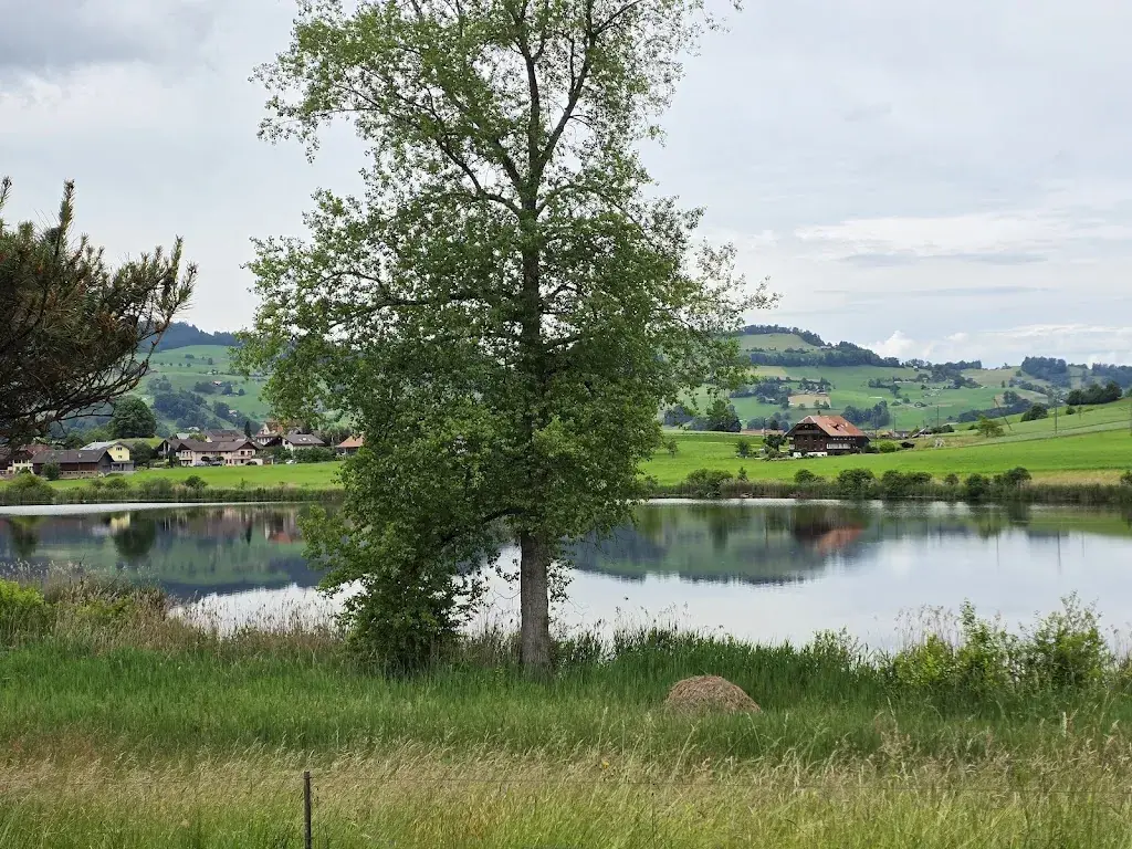 Beatrix Hürzeler_Grizzlybär Swiss Lodge Hotel_Forst-Längenbühl_avis