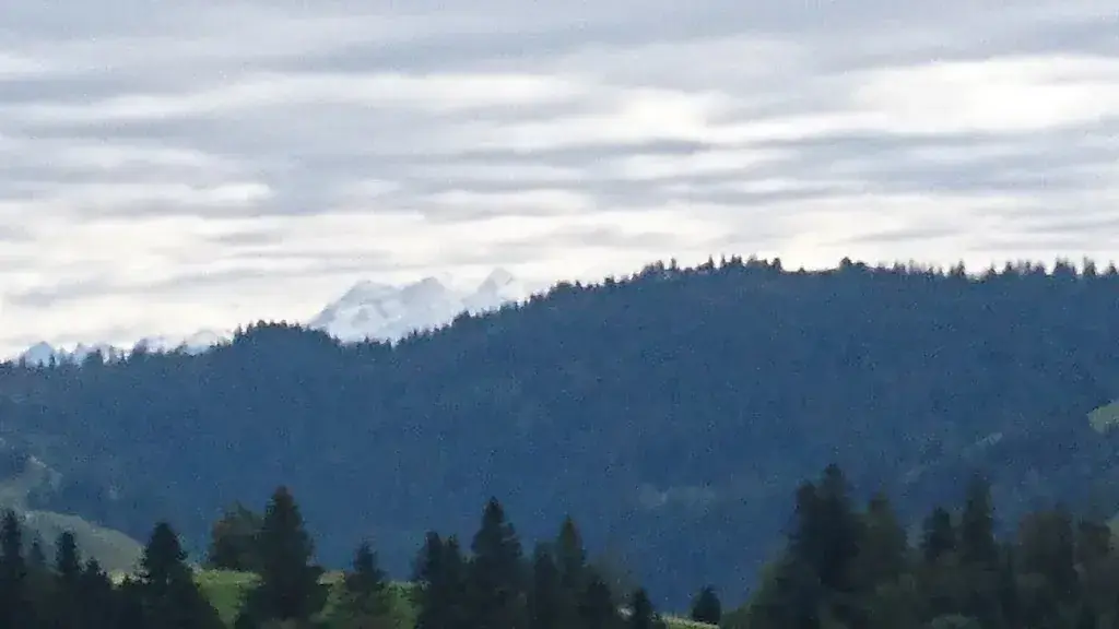 Marlieis Gygax_Brestenegg_Eriswil_avis