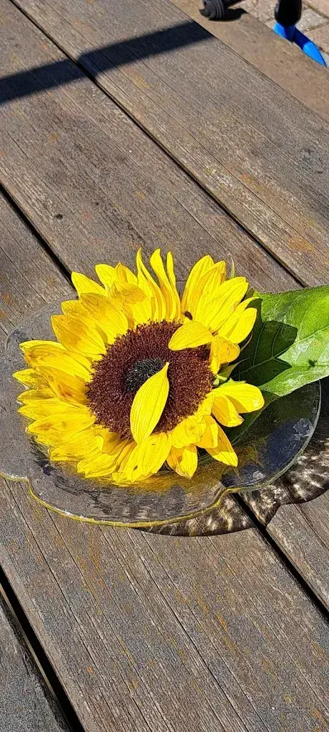 Kaethi Flueckiger_Bergwirtschaft Teuffelen_Attiswil_avis