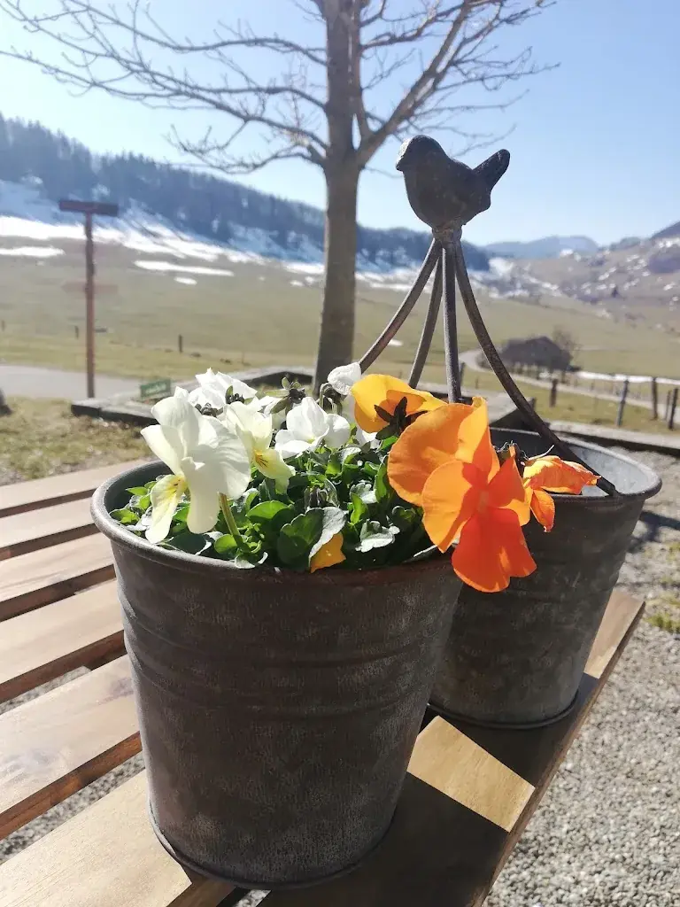 Michel Denitrio_Vordere Schmiedenmatt_Farnern_review