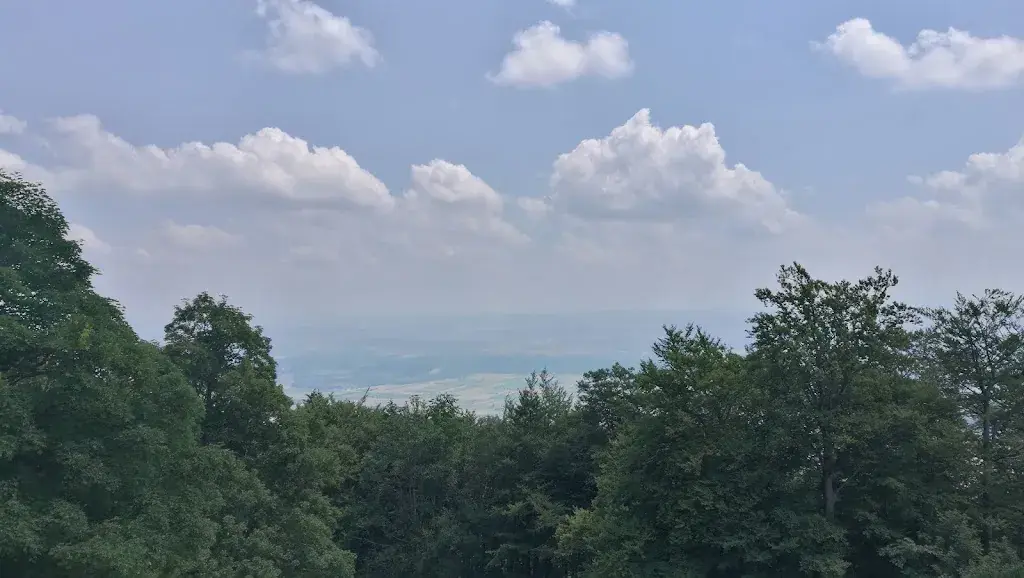 Paulo Salvador_Bergrestaurant Buechmatt_Wolfisberg_avis