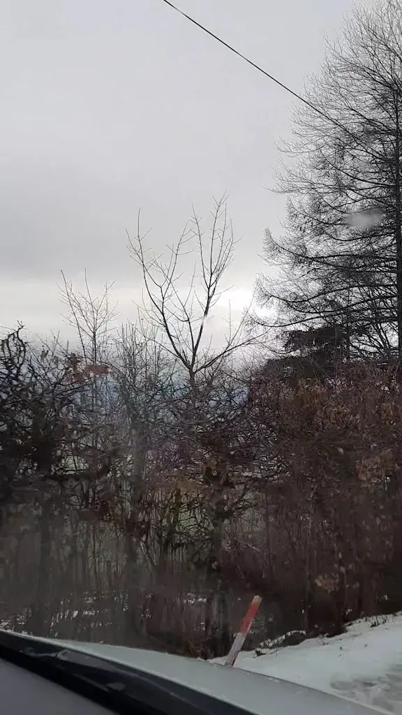 Димон Weiher_Bergrestaurant Buechmatt_Wolfisberg_avis