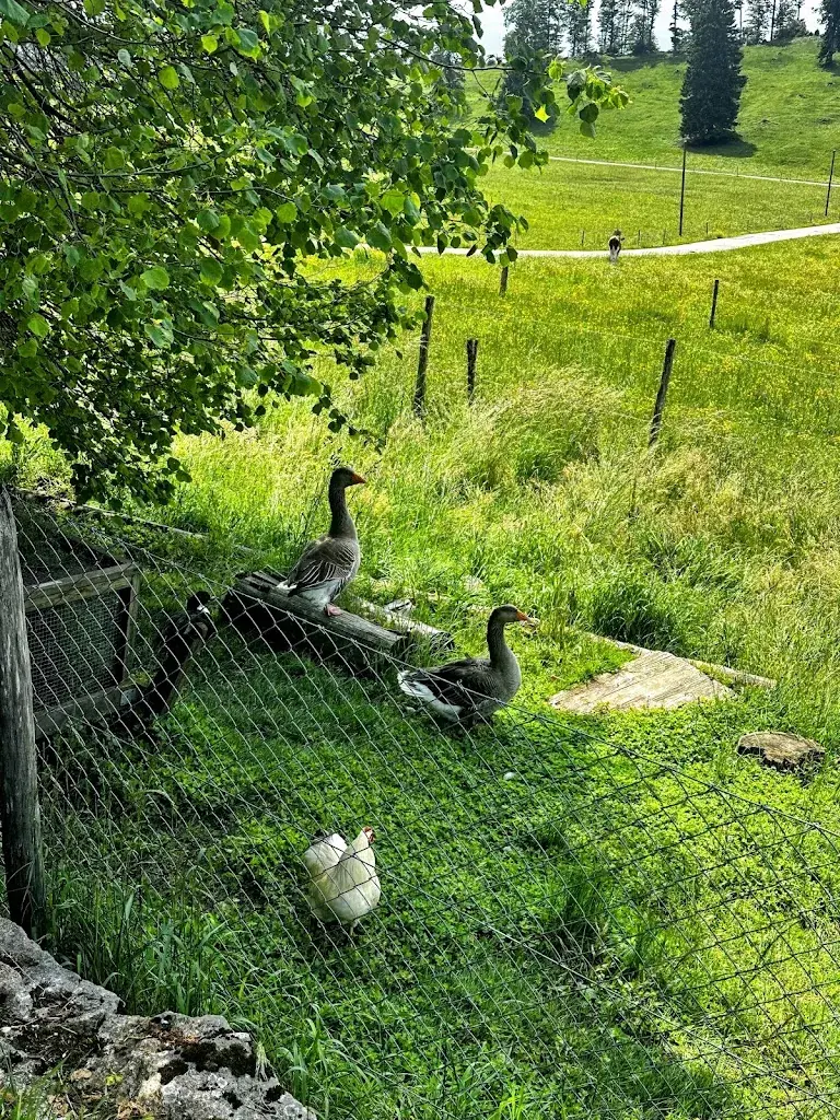 Melkon Torosyan_Bergwirtschaft Hinteregg_Rumisberg_avis