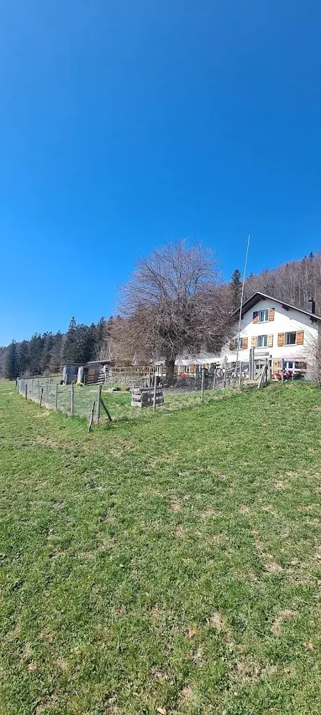 Roman Portmann_Bergwirtschaft Hinteregg_Rumisberg_avis