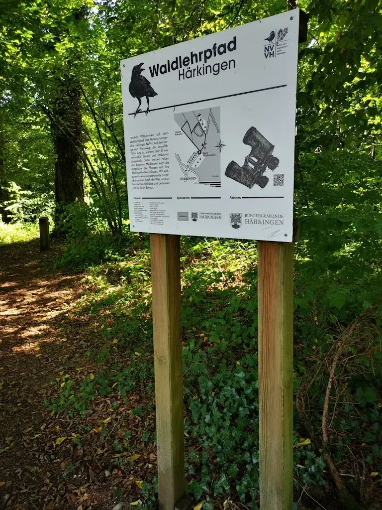 tom waugh_Waldhütte Flüelisboden_Niederbipp_avis