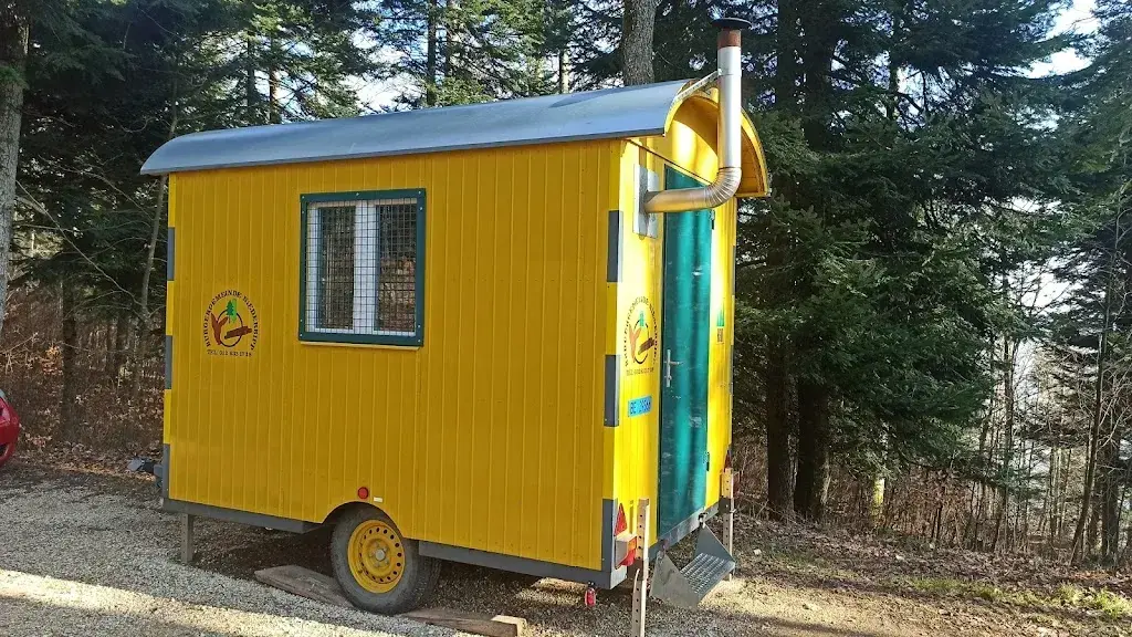 Andi Steinmann_Waldhütte Flüelisboden_Niederbipp_avis