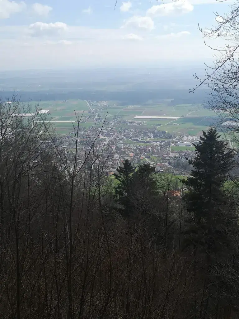 Reinmann Charles_Waldhütte Flüelisboden_Niederbipp_avis