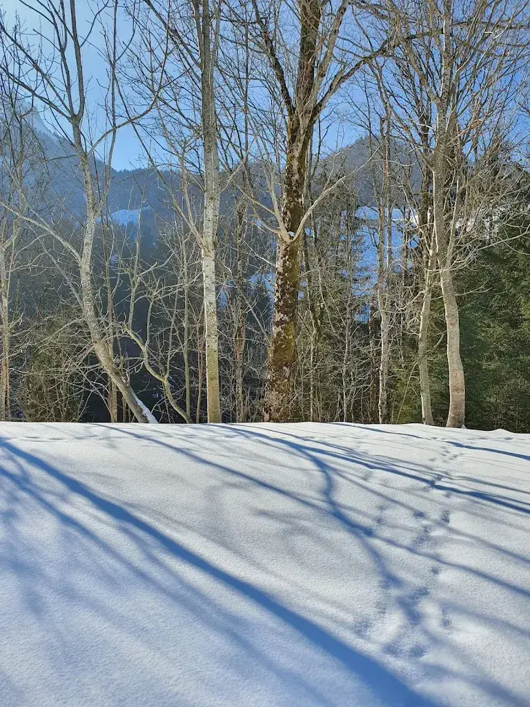 Sarabjeet Sanghera_Gfellen_Finsterwald_review