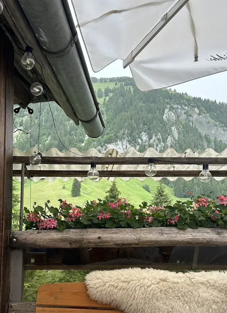 Anni Banani_Alp Gründli_Entlebuch_Bewertung