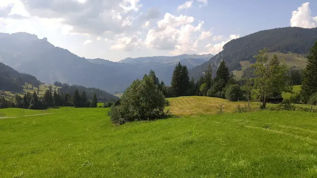 Makkogreen_Stäldeli_Flühli_recensione