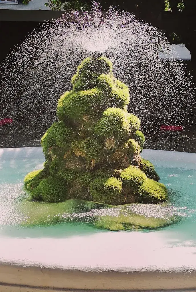 Menu_FLÜHLI Hotel Kurhaus_Flühli_imagen_9